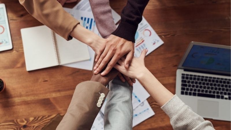 Operational Excellence and Partnership Potential